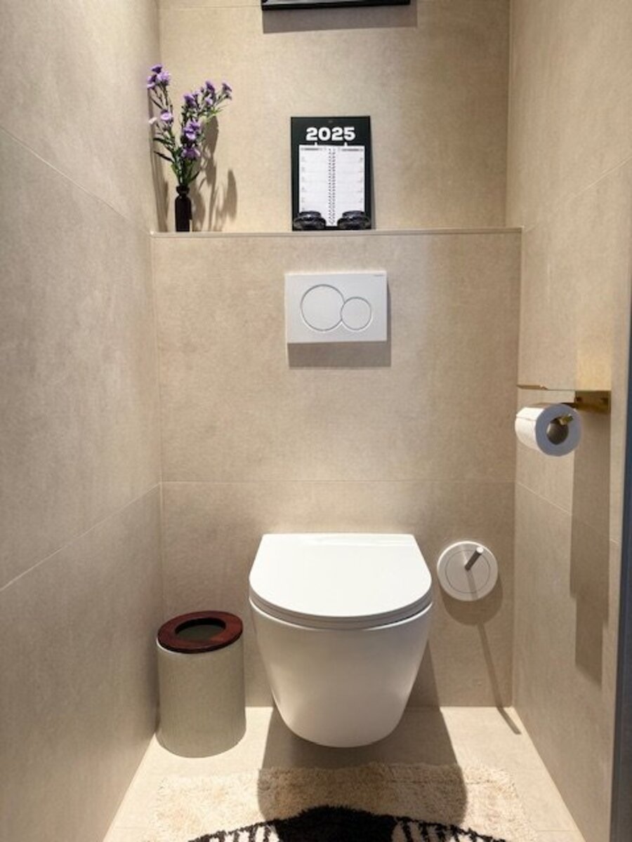 The Rinz design-toiletborstel in situ